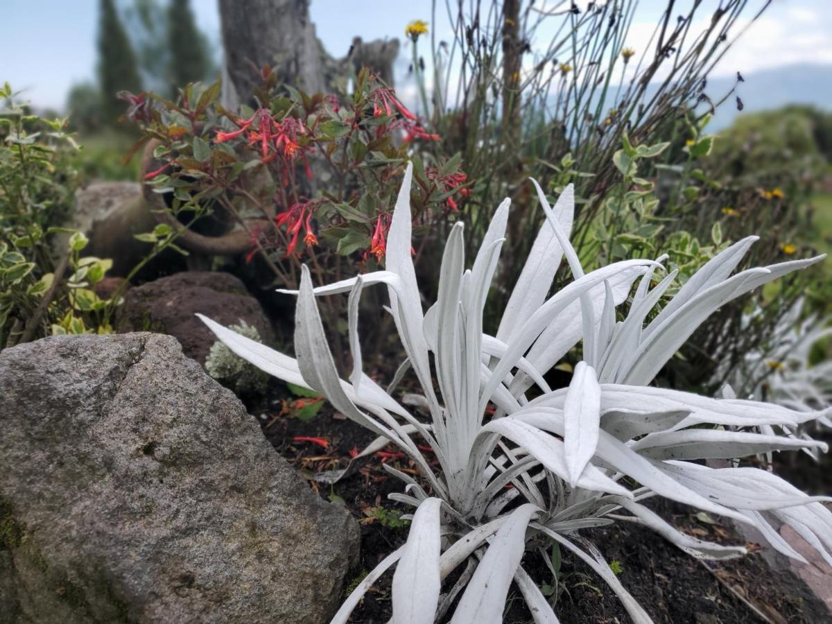 Balcon Al Cotopaxi Hosteria Sangolquí 외부 사진