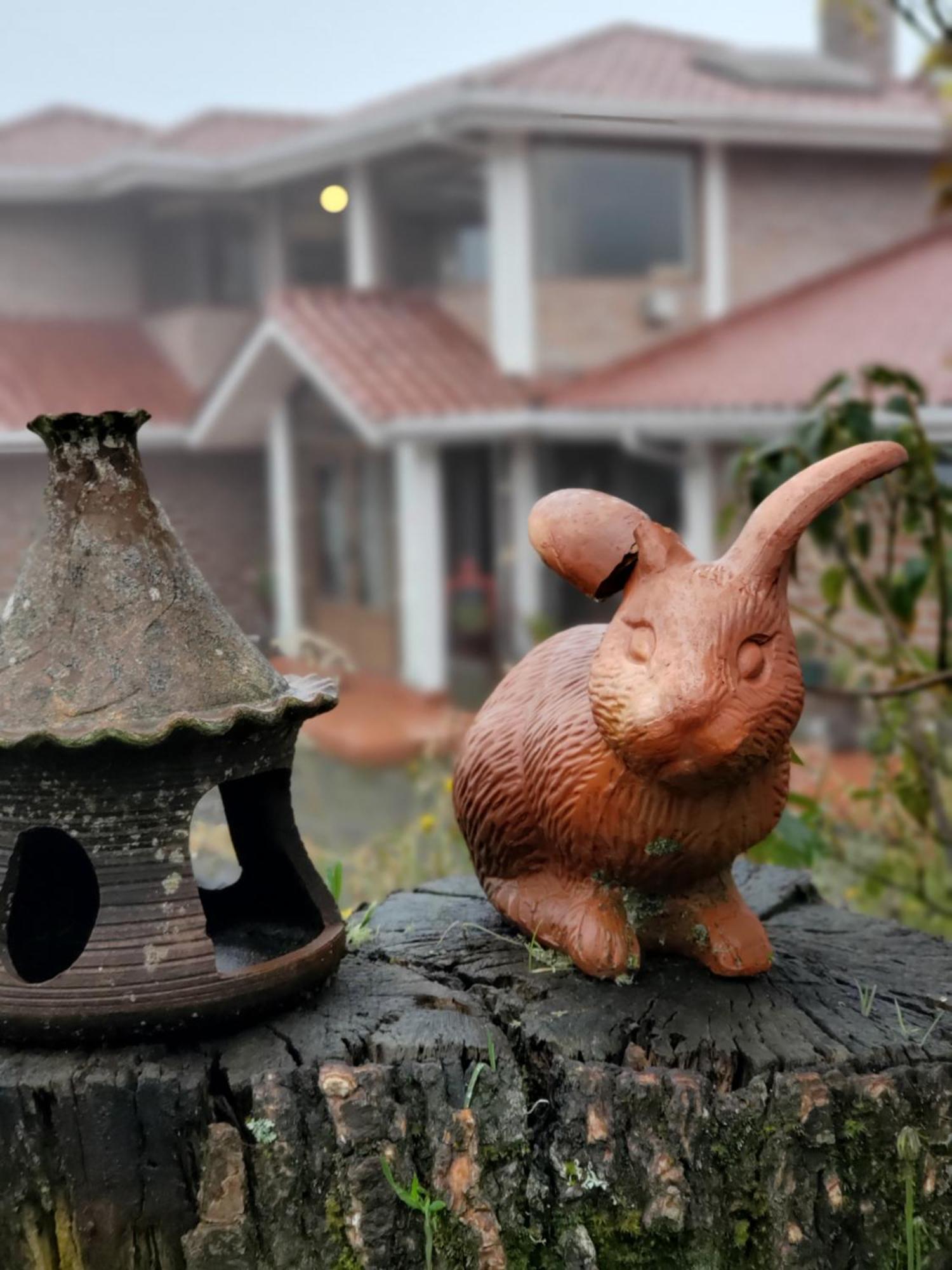 Balcon Al Cotopaxi Hosteria Sangolquí 외부 사진